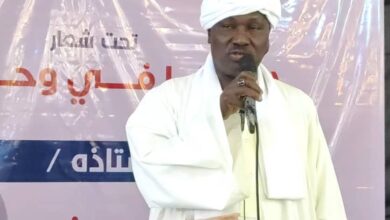 سايرين : تقوية الاقتصاد سيكون مخرج لكل المشاكل